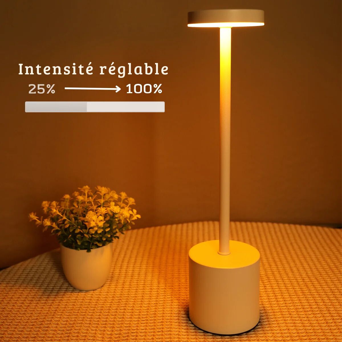 Lampe de chevet LED Touch Luxe - Éclat Nocturne